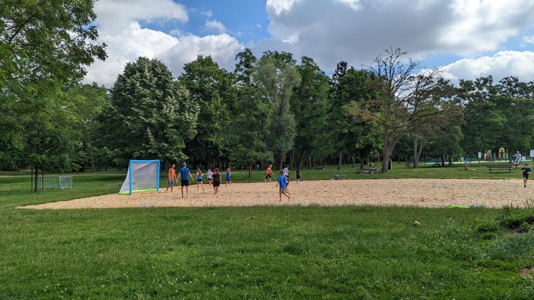 PXL_20220611_083528482_800x450