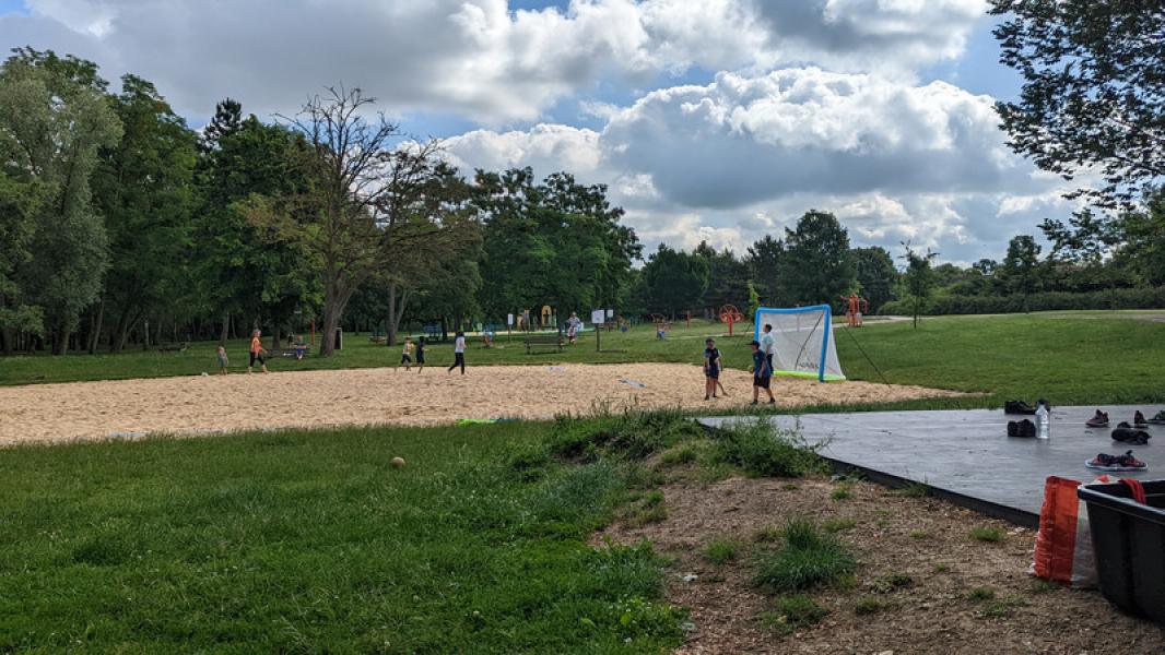 PXL_20220611_083536113_800x450