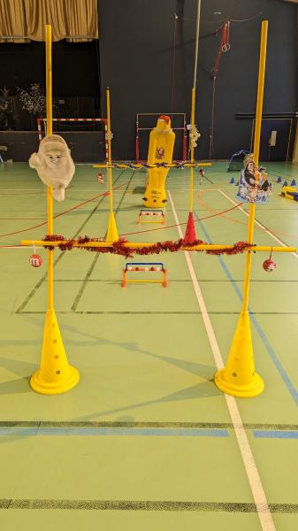 PXL_20221210_085207404