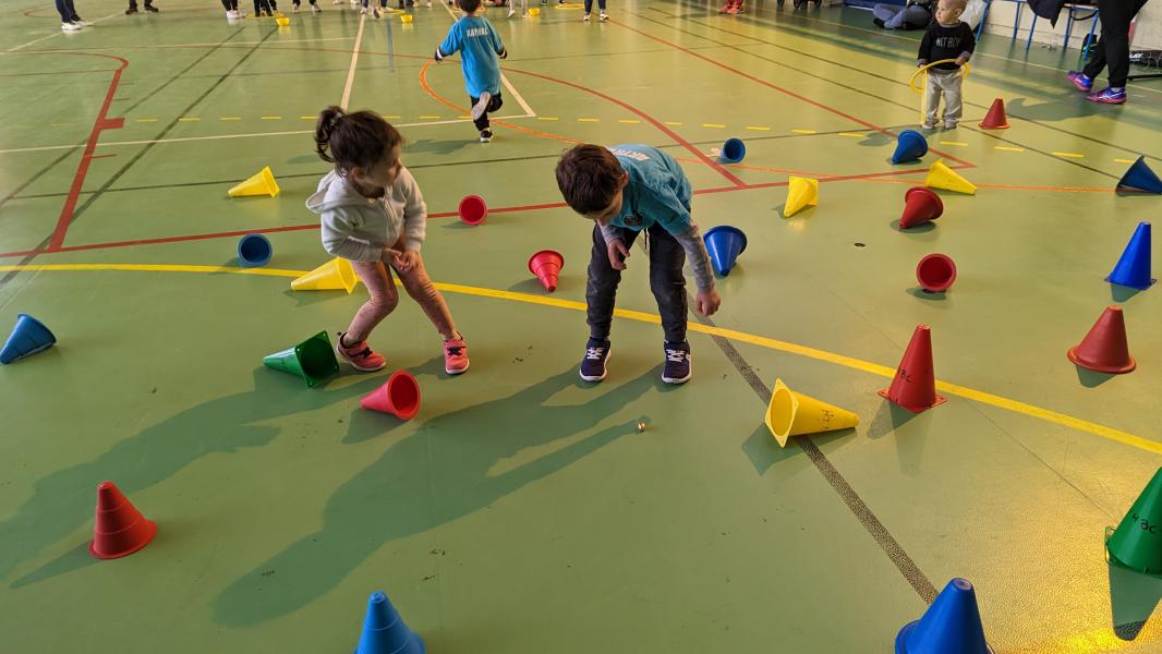 PXL_20230415_083446229