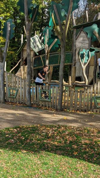 PXL_20221024_113600707