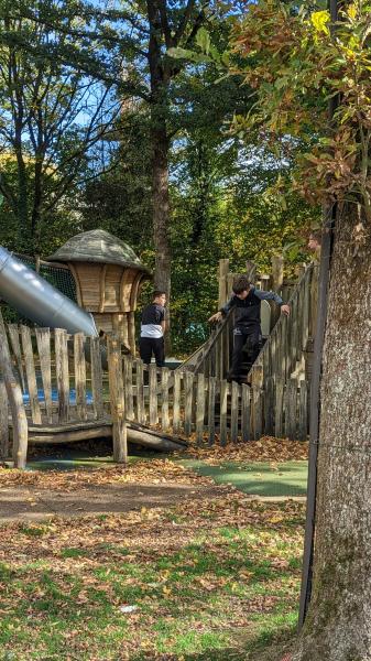 PXL_20221024_113624729