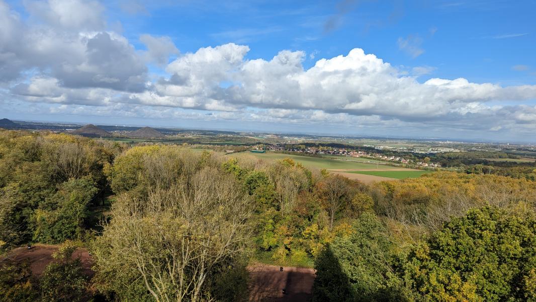 PXL_20221025_113820074