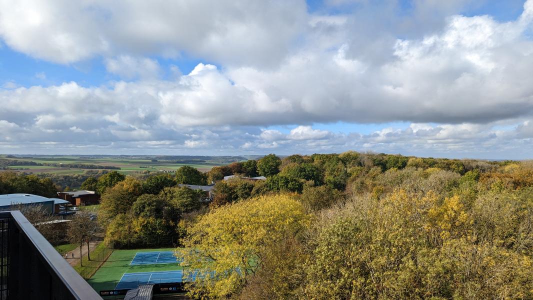 PXL_20221025_113822953