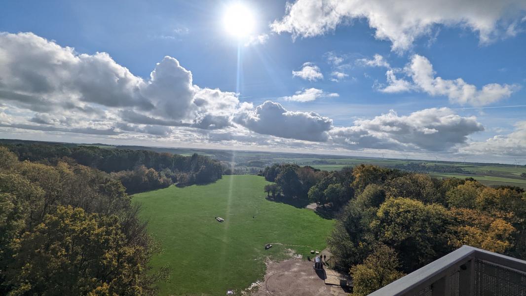 PXL_20221025_114110611