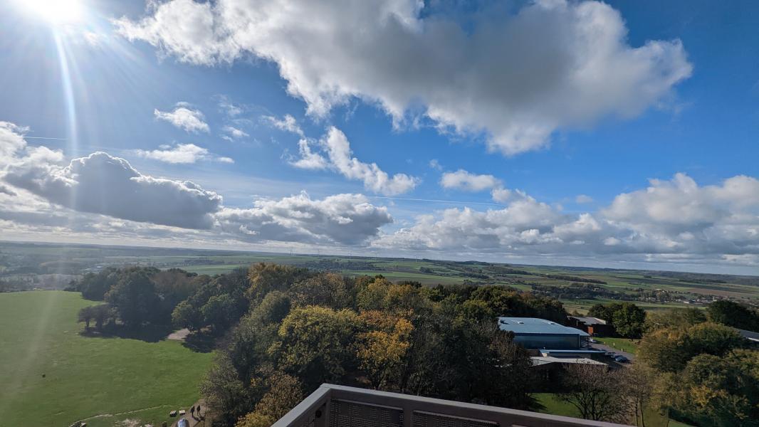 PXL_20221025_114113390